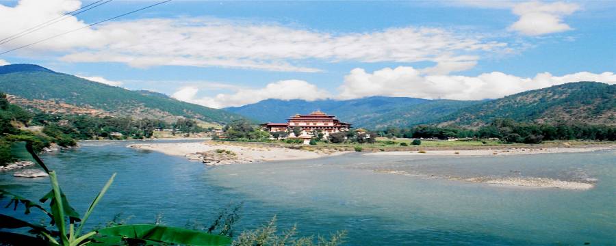 16425-paro.jpg