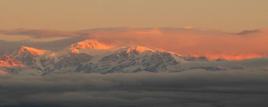 19039-darjeeling5.jpg