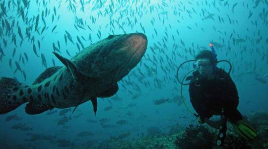 35940-andaman9.jpg