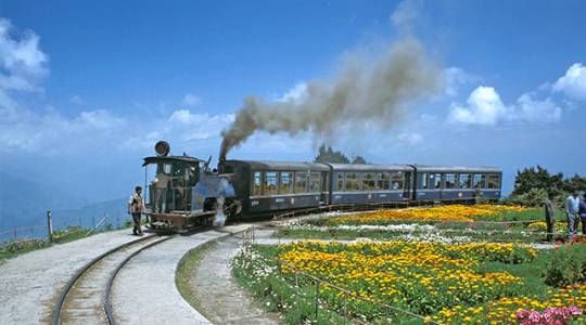 67324-BatasiaLoop-Darjeeling.jpg