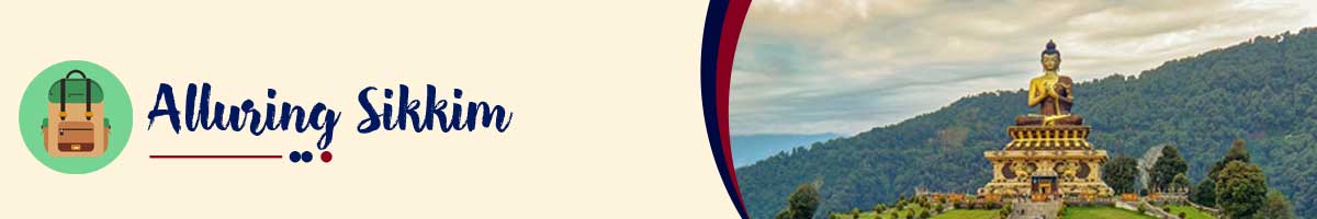 travel-agency-siliguri travel-agency-siliguri