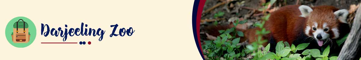 tour-operator-darjeeling tour-operator-darjeeling